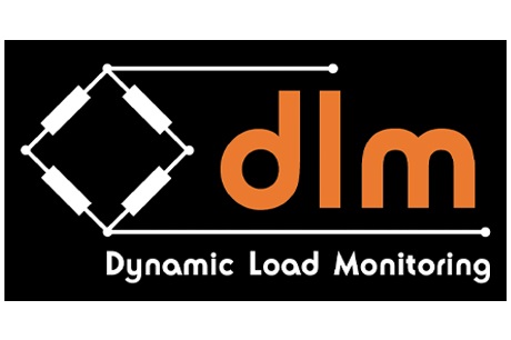 DLM